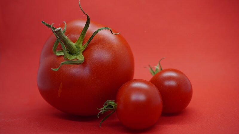 Three Tomatoes on Red