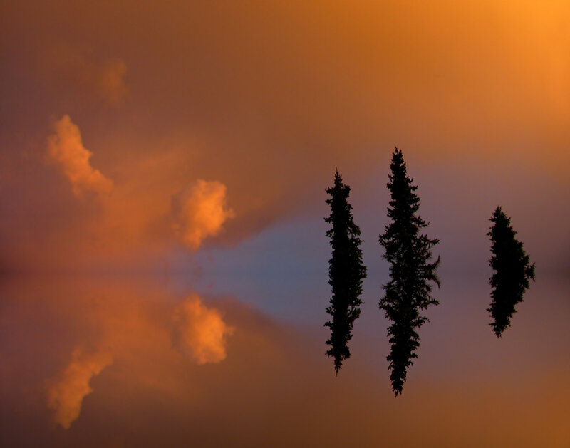 Three Trees at Sunset — Orange