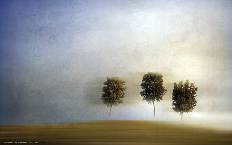 Three Trees in a Misty Field
