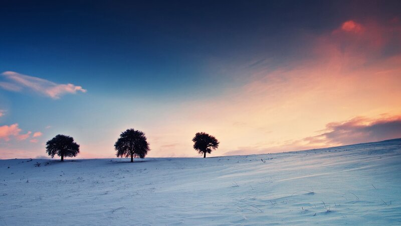 Three Trees in Snow — Blue, Serene