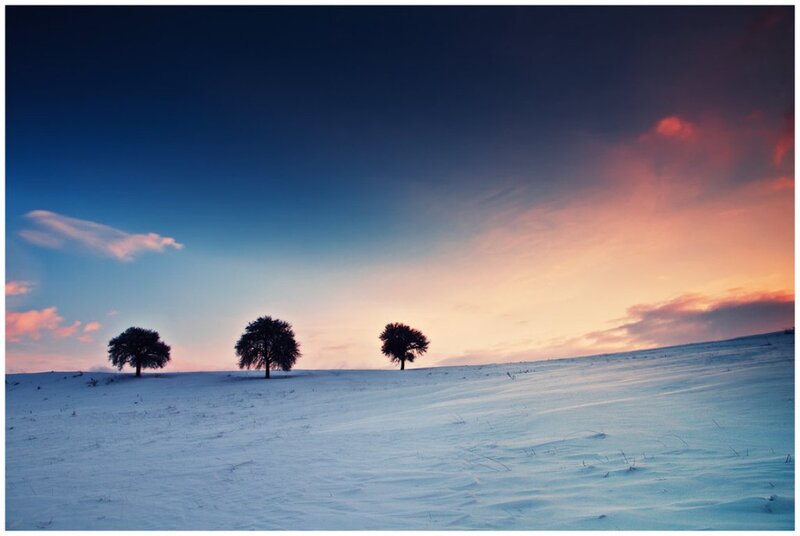 Three Trees in Snow — Blue