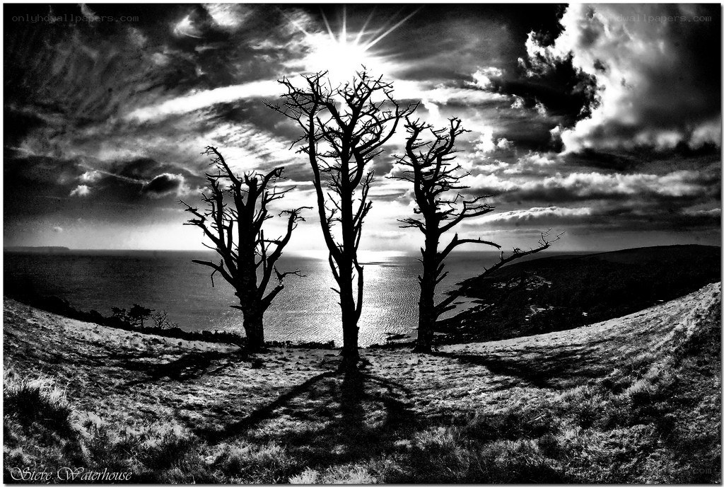 Three Trees on a Hill