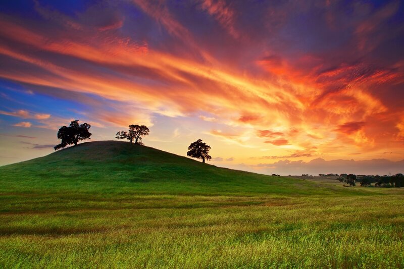 Three Trees on a Hill — Green, Dramatic, Sunset, Photograph