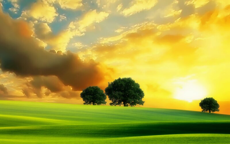 Three Trees on a Hill — Green, Dramatic, Sunset