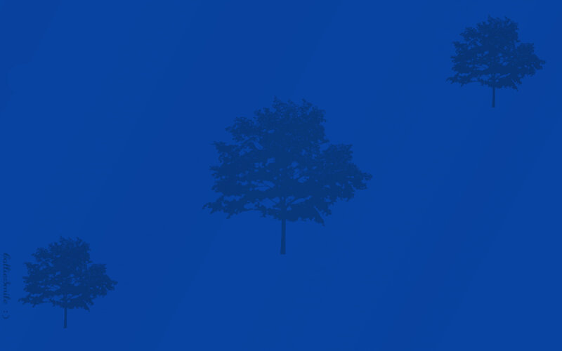 Three Trees on Blue — Serene