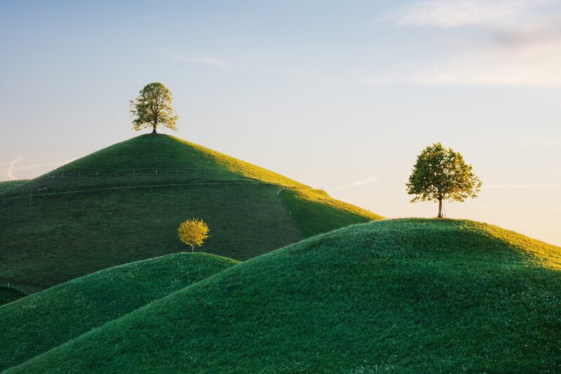 Three Trees on Hills — Green