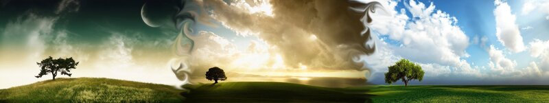 Three Trees on Hills