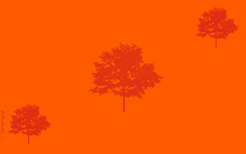 Three Trees on Orange