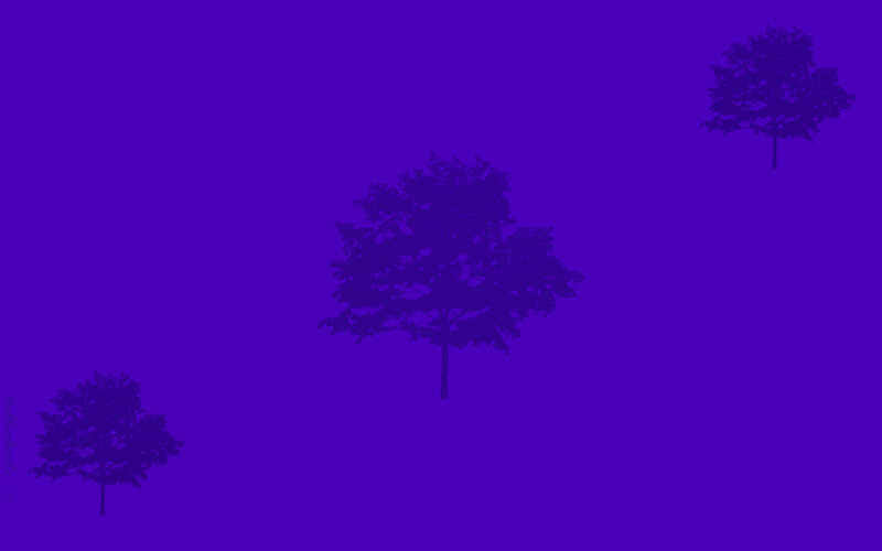 Three Trees on Purple
