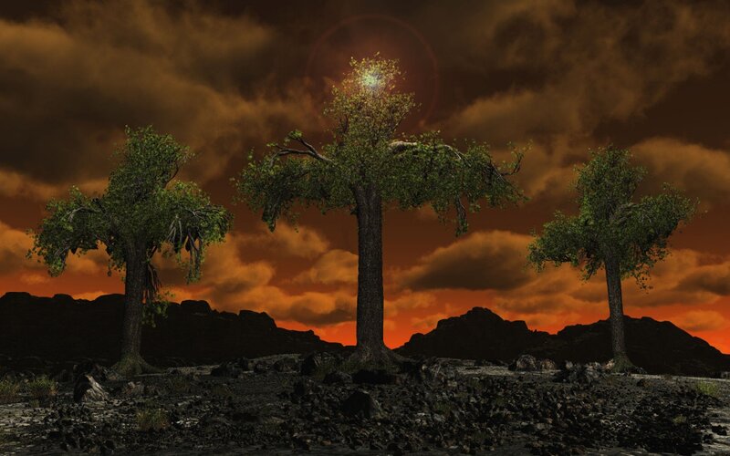 Three Trees on Rocky Ground