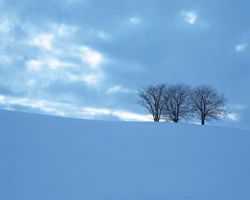 Three Trees on Snowy Hill