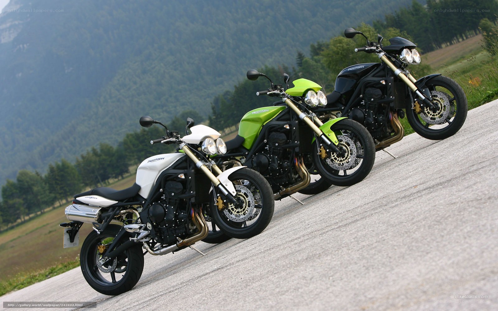Three Triumph motorcycles on a road