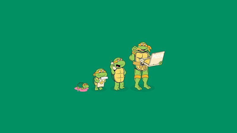 Three Turtles in a Row