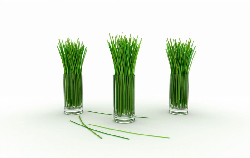 three vases with green grass