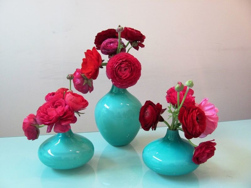 Three Vases with Ranunculus