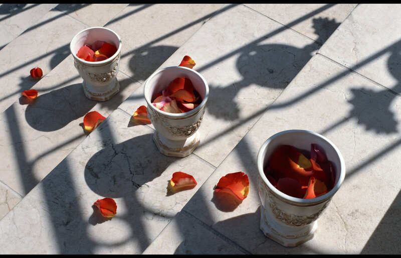 Three Vases with Rose Petals