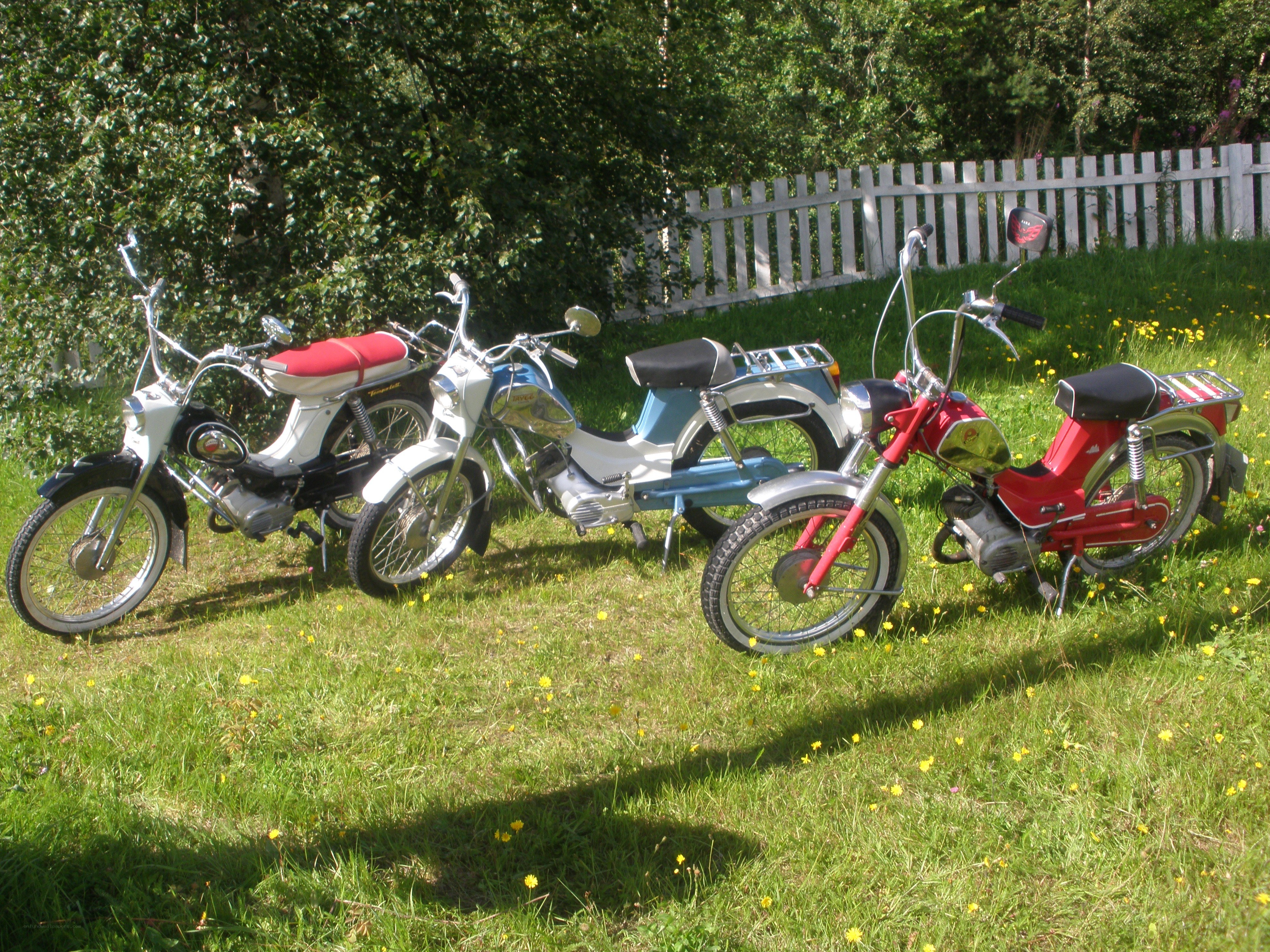 Three vintage scooters on grass