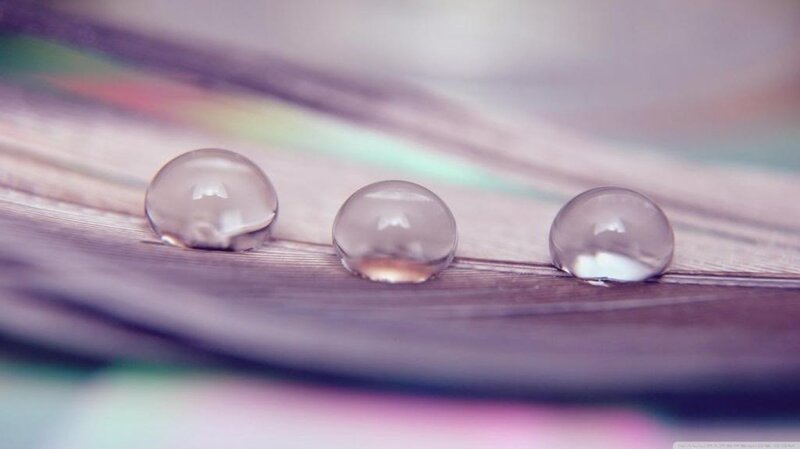 Three Water Droplets on Leaf — Purple, Calm