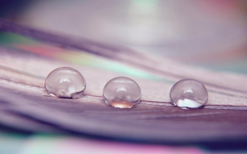 Three Water Droplets on Leaf — Purple, Serene
