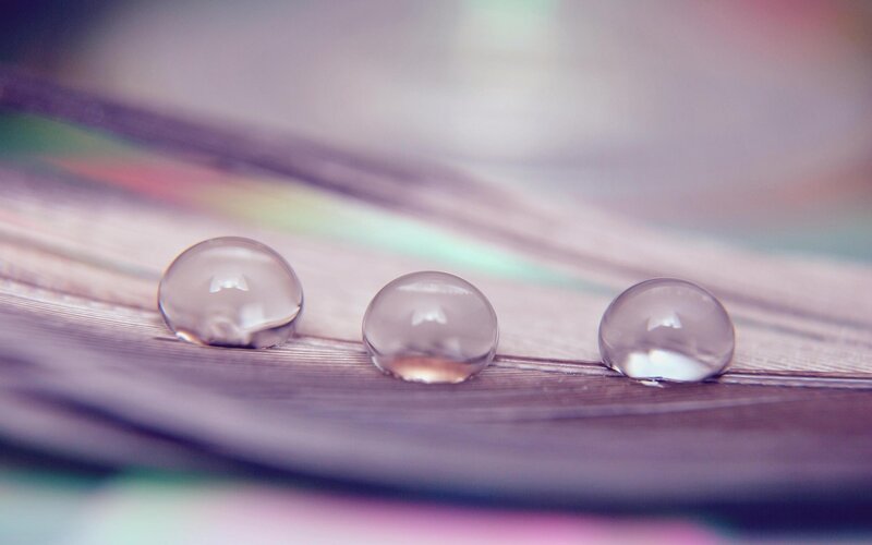 Three Water Droplets on Leaf — Purple