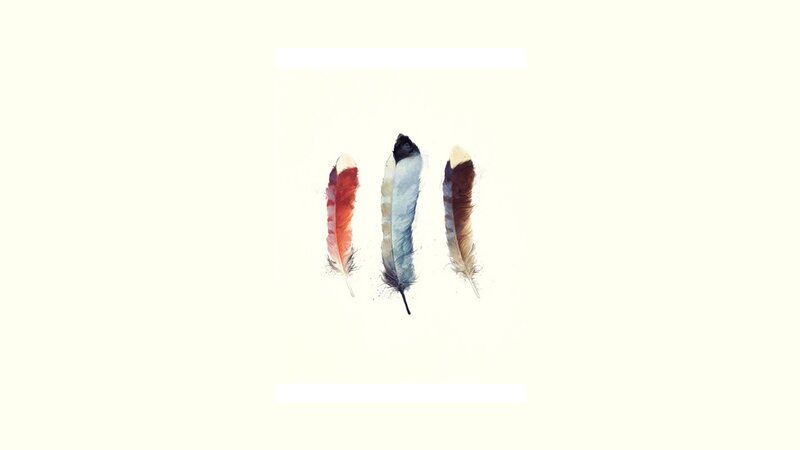 three watercolor feathers