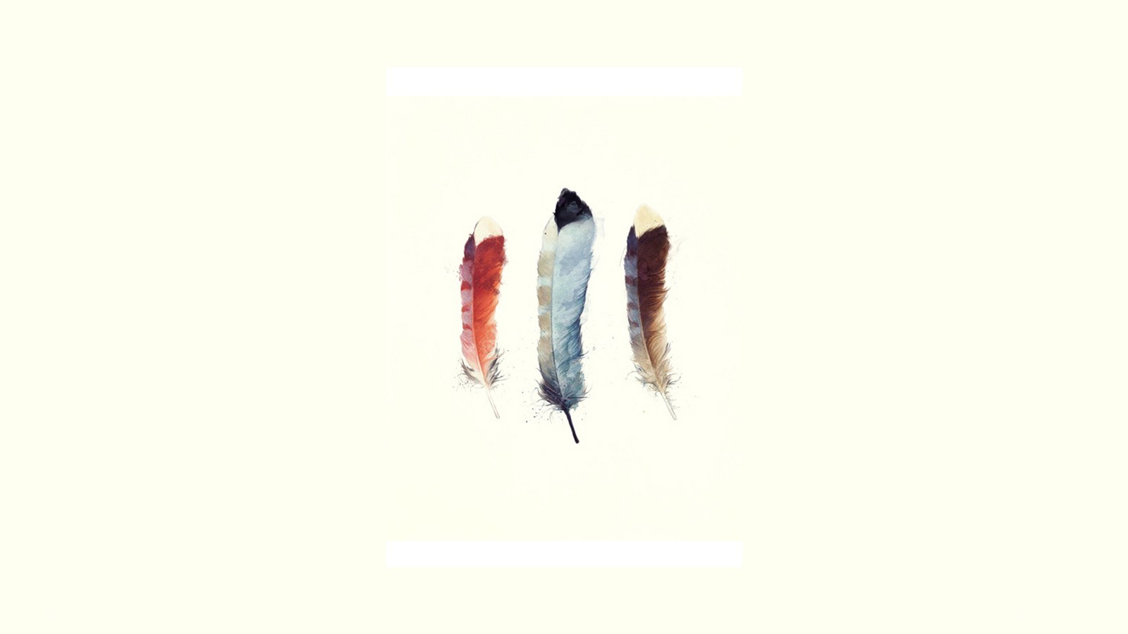 three watercolor feathers