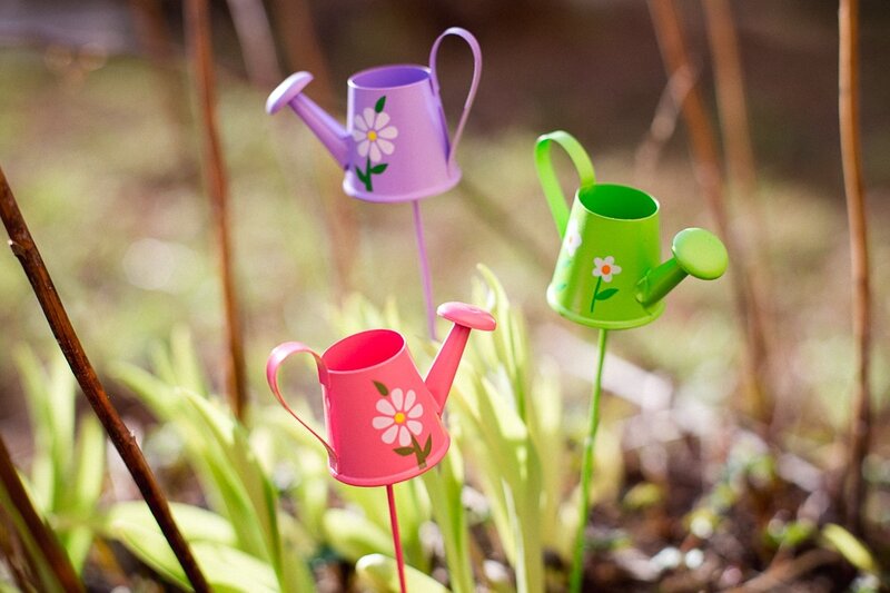 Three Watering Cans