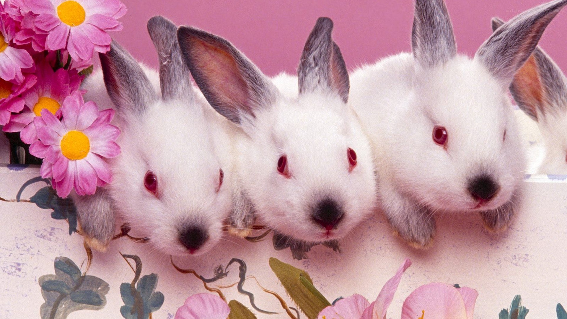 three white bunnies with flowers