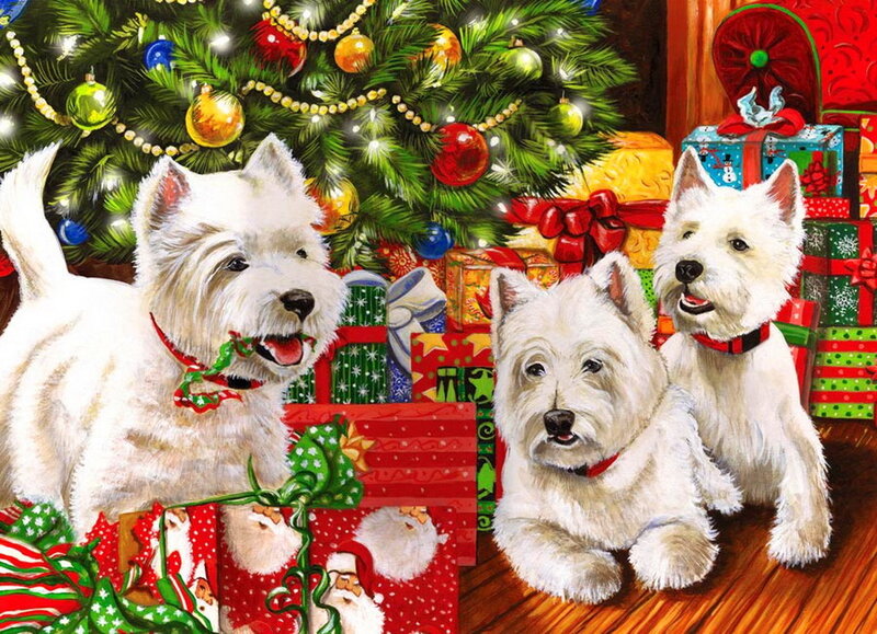 Three White Dogs Near Tree
