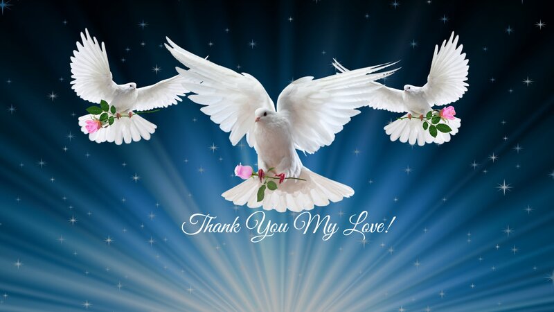 Three White Doves Flying