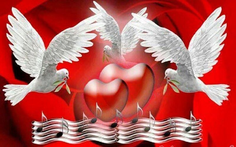 Three White Doves