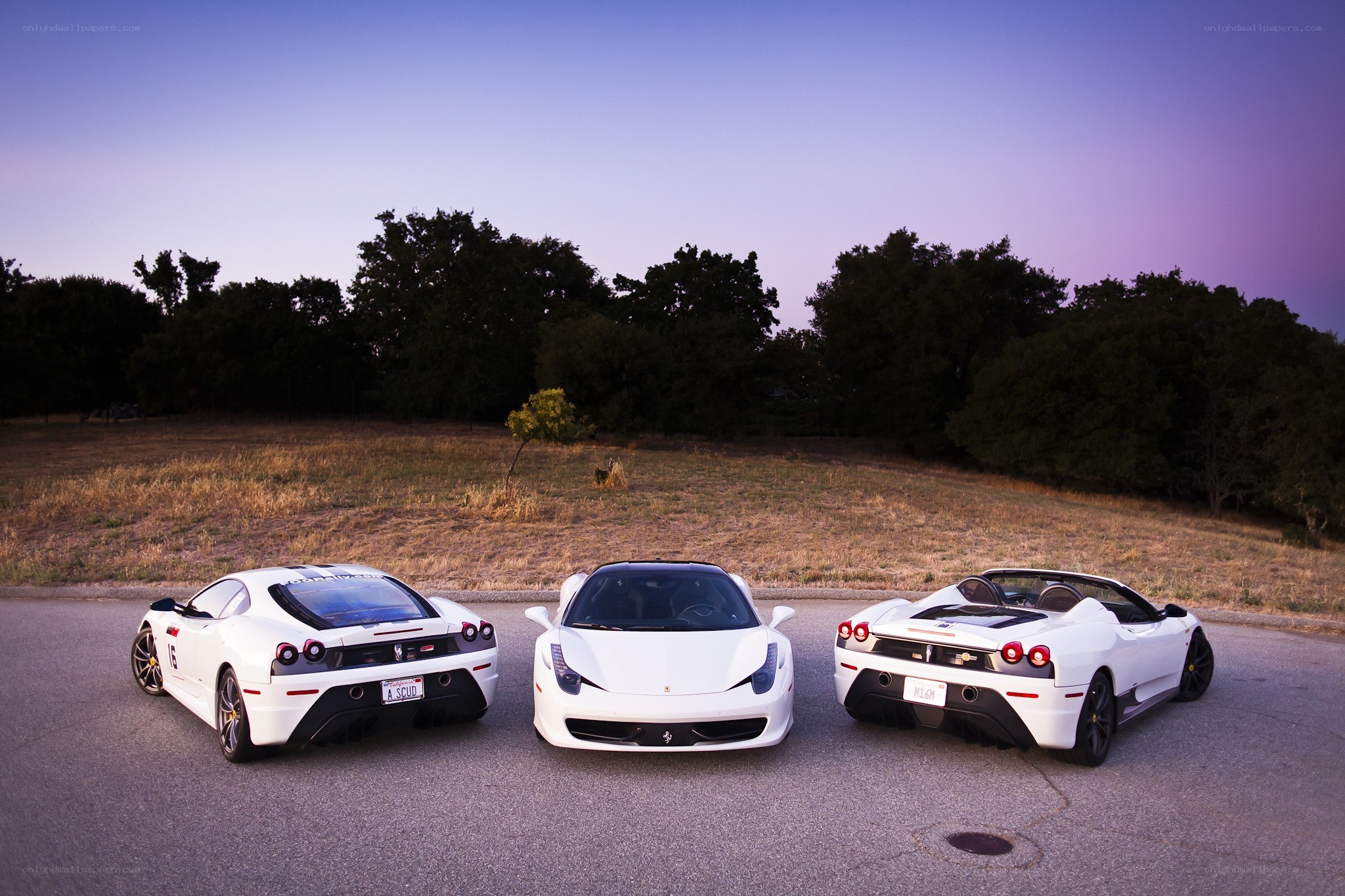 Three white Ferraris on a road