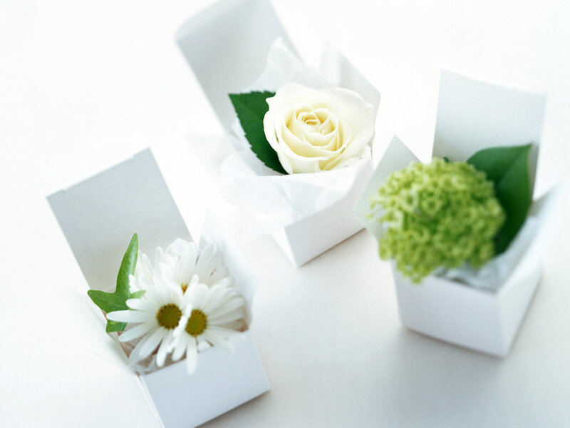 Three White Flower Boxes