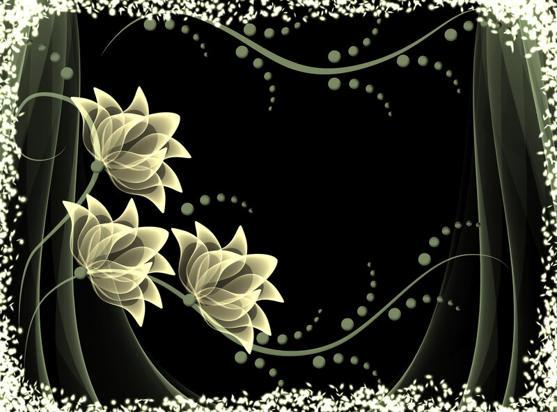 Three White Flowers — Black
