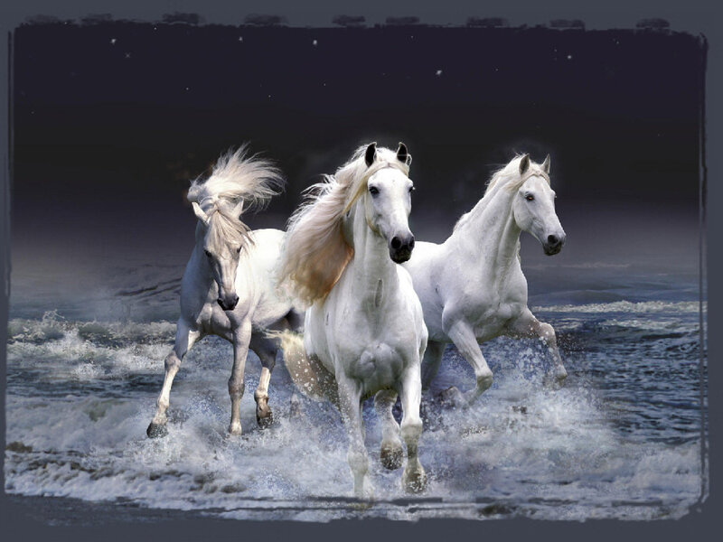 Three White Horses — Dramatic