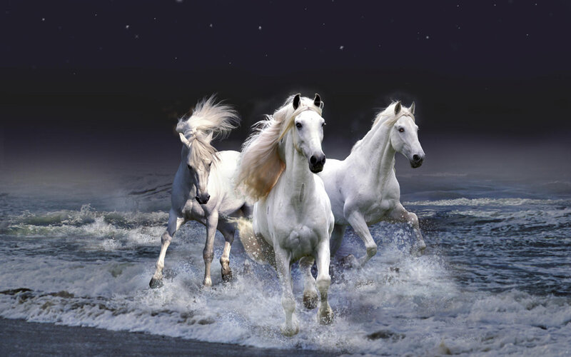 Three White Horses Running — Dramatic, Night, Digital Art, Ocean, Night Sky, Stars, Blue