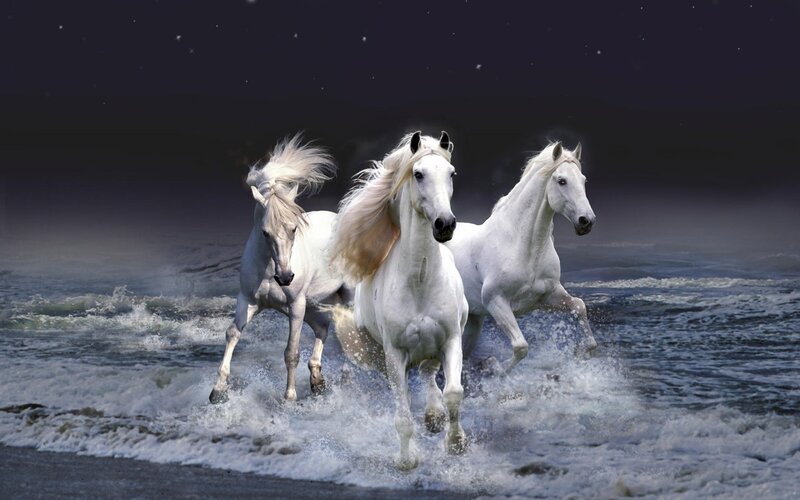 Three White Horses Running — Dramatic, Night, Digital Art, Ocean, Waves, Night Sky