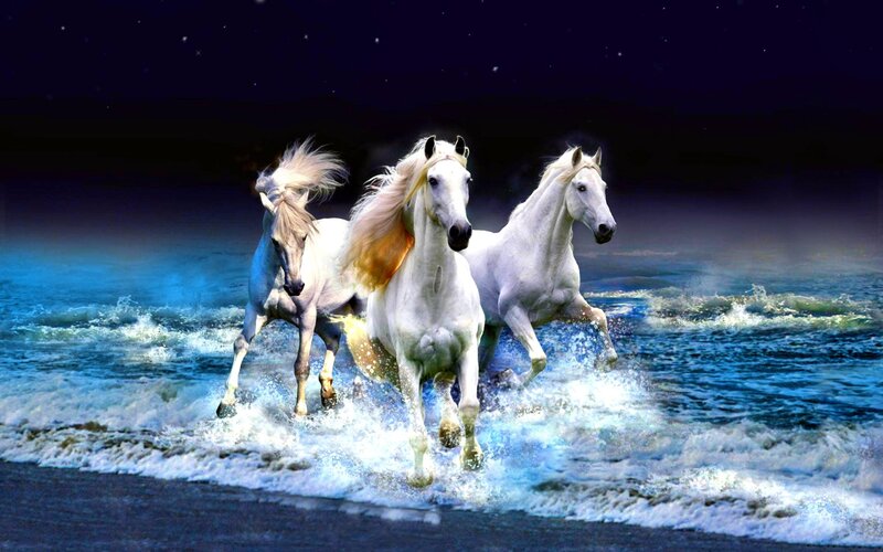 Three White Horses Running — Dramatic, Night, Digital Art, Ocean, Waves
