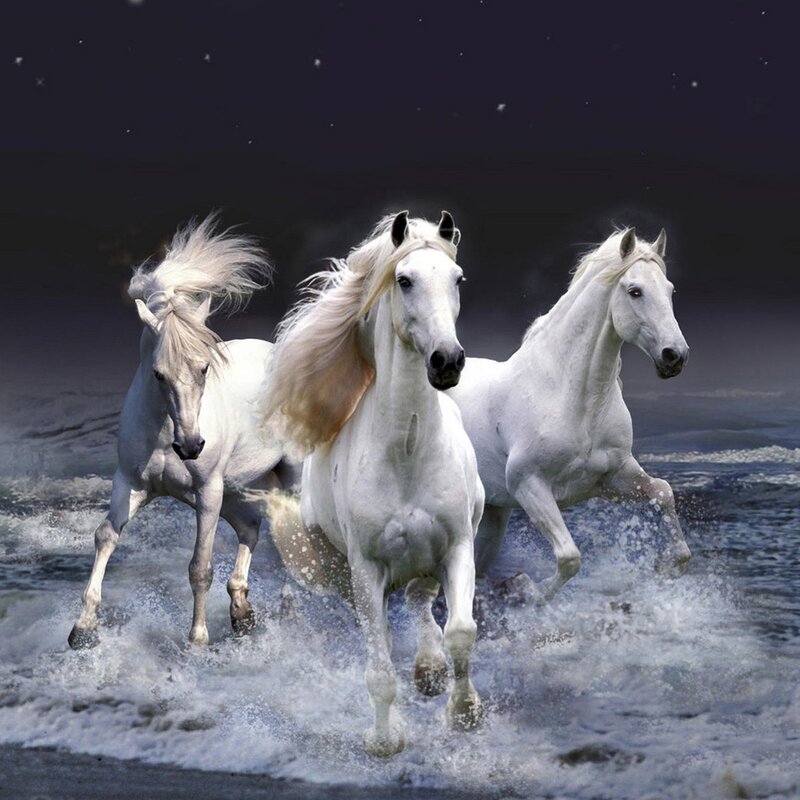 Three White Horses Running — Dramatic, Night, Digital Art