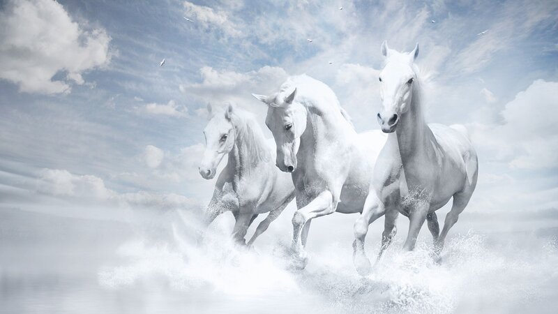 Three White Horses Running — Dynamic, Digital Art, Clouds, Birds