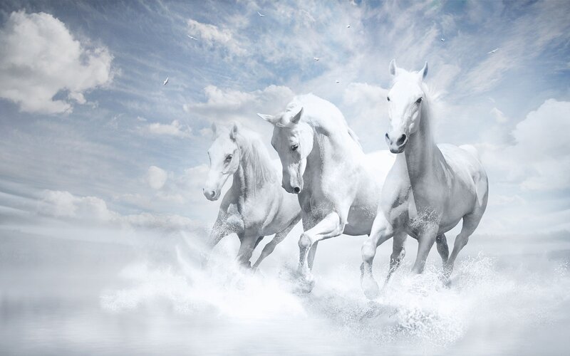 Three White Horses Running — Dynamic, Digital Art, Clouds
