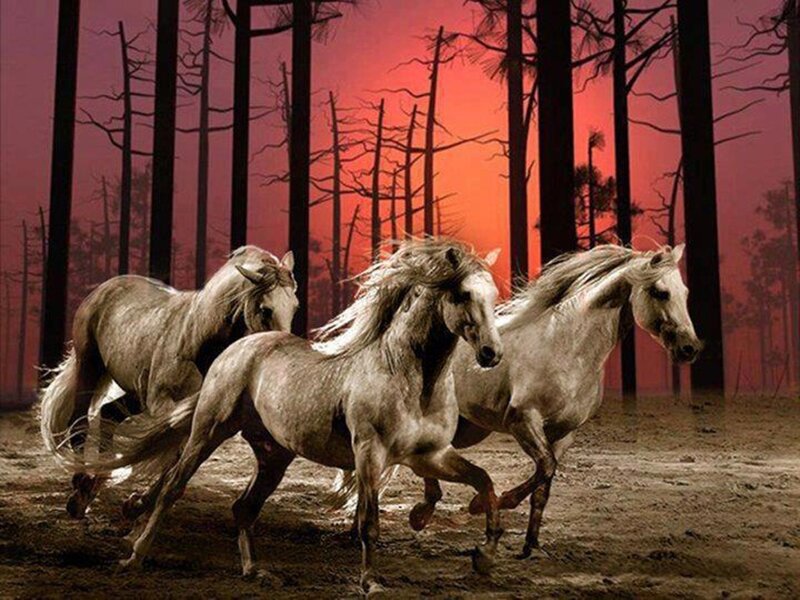 Three White Horses Running — Red
