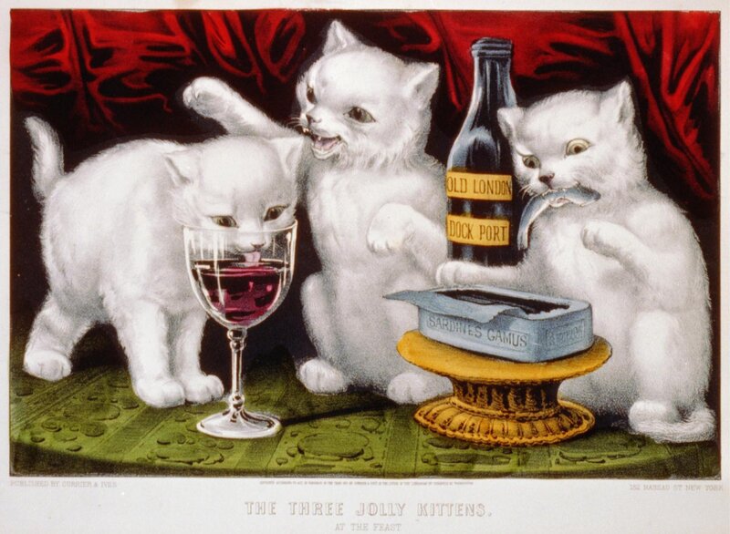 Three White Kittens — Comical