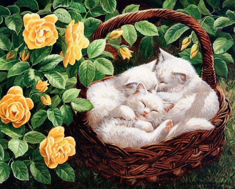Three White Kittens in Basket