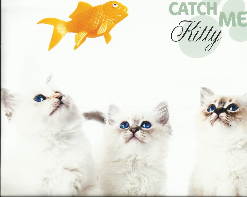Three White Kittens — Playful, Photograph, Goldfish Toy