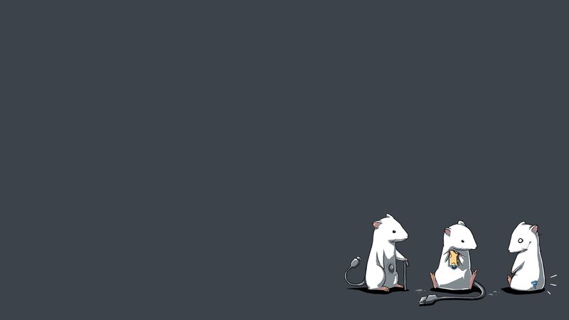 Three White Mice — Gray