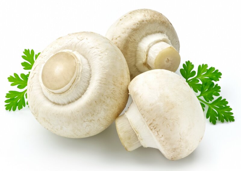 Three White Mushrooms — Neutral