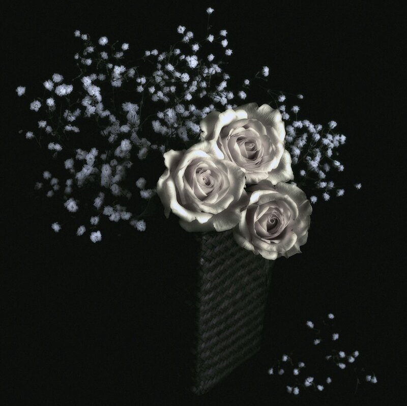 Three White Roses — Black