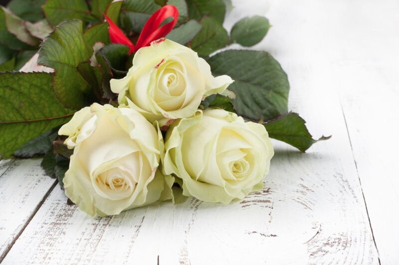 Three White Roses — Calm, Photograph