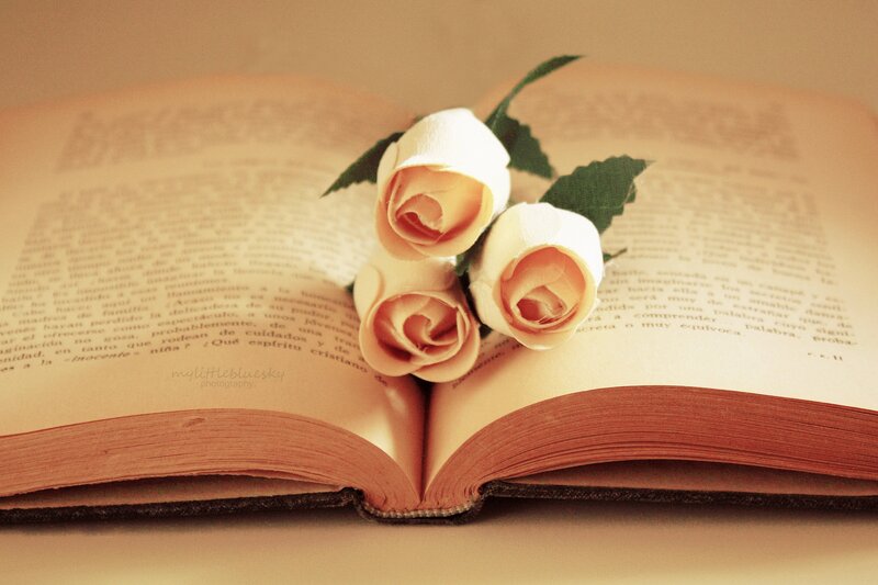 Three White Roses on Book
